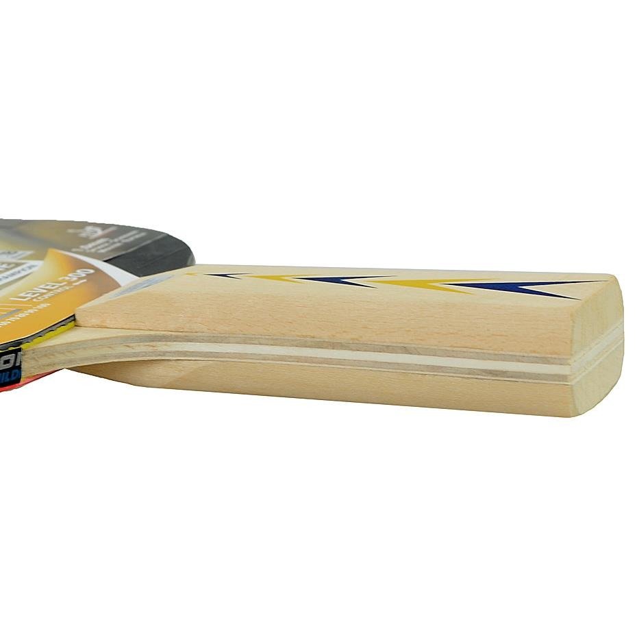 Набір Donic Appelgren 300 2-player set